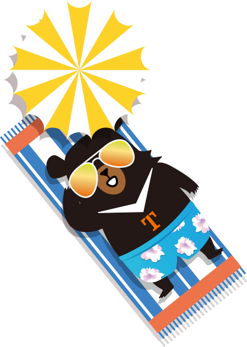 海豚