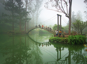 中台湾芬多精3日游图示