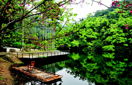 桃园市大溪区图示