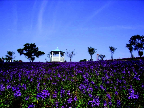 桃园市大溪区图示