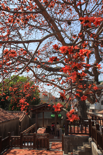 金门县金城镇图示