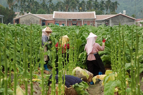 高雄市美浓区图示
