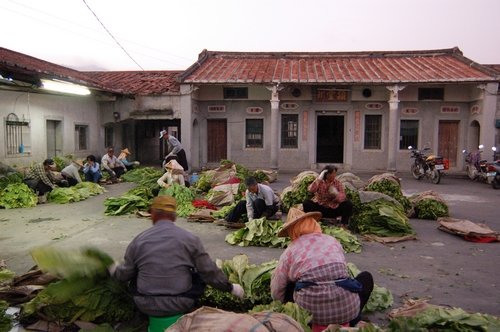 高雄市美浓区图示