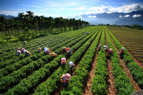 花莲县瑞穗乡图示