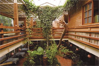 罗望子生态教育休闲农场示意图图示