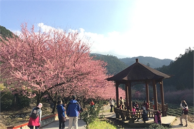 武陵农场示意图图示