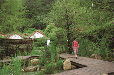 台一生態休閒農場示意图图示