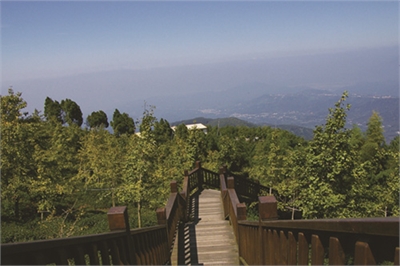 武岫休闲农场示意图图示