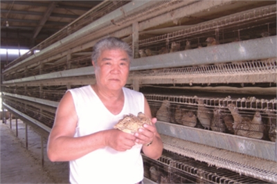 鹑园休闲农场示意图图示