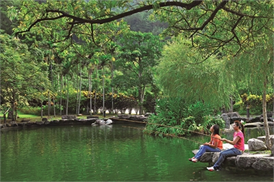 头城休闲农场示意图图示