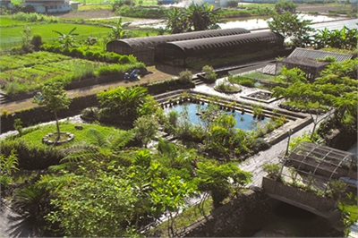 千里光药园休闲农场示意图图示