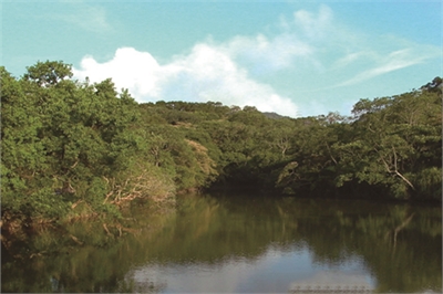 阿里磅生态农场示意图图示