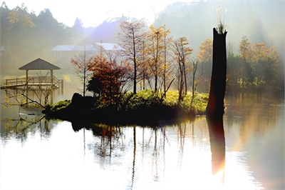 明池森林游乐区示意图图示