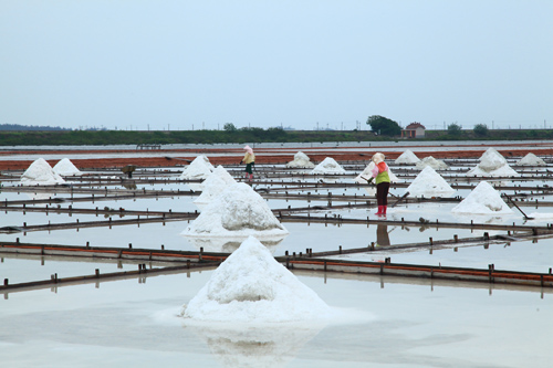 恋上白色云嘉南图示