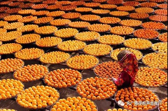 带您打开台湾休闲农业的体验地图图示