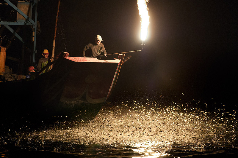 寻找被遗忘的技法—磺港渔火金山蹦火二日游图示