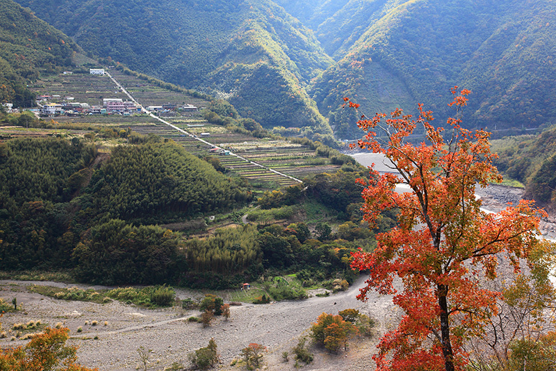 桃园温泉香枫部落之行图示