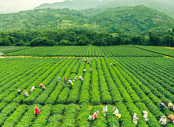 双铁瑞穗牧场温泉行图示