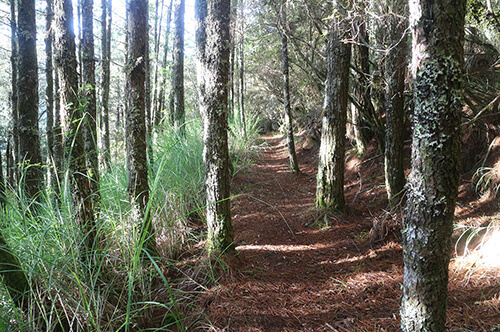 原民古道寻找藏在山里的美好图示