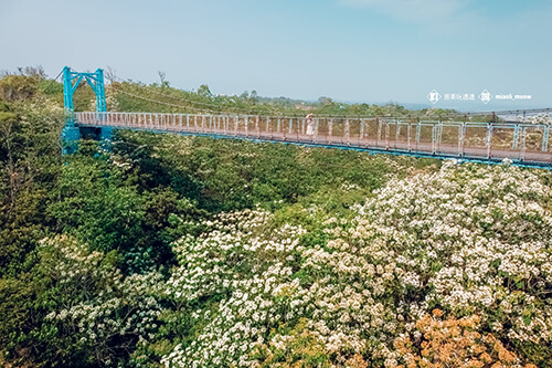 桐花小旅行一游山城山中艺径图示