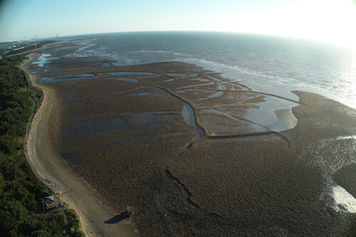 桃园海客 达人领骑守沪相助图示