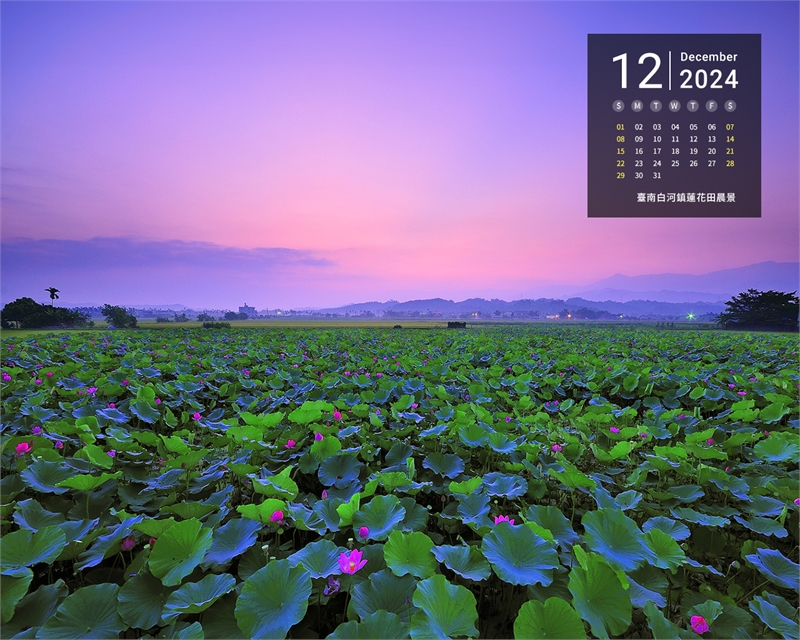 2024年12月份图示