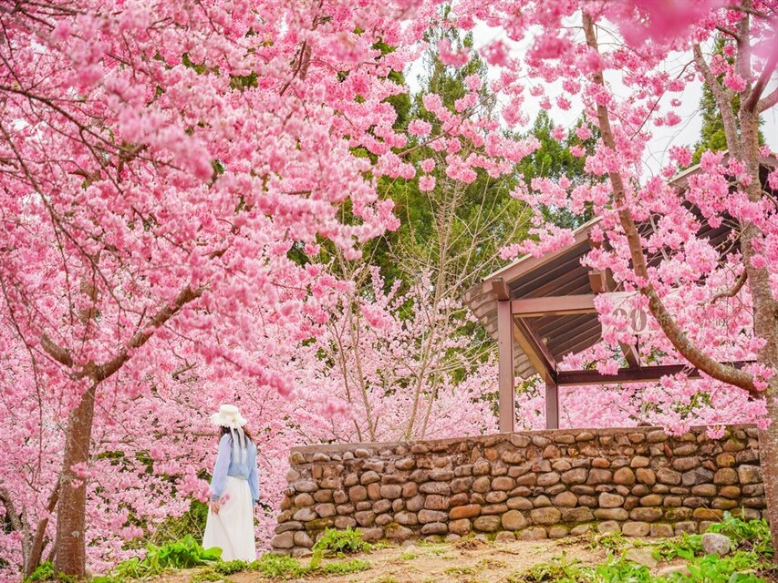 2026春节走春趣精选全台山海亮点 邀您开启马年幸福漫游新篇章