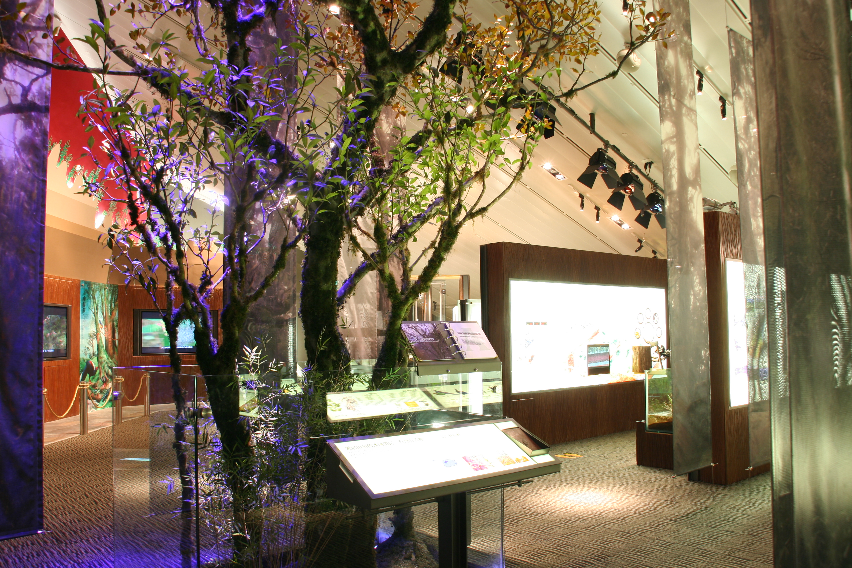 兰阳博物馆图示