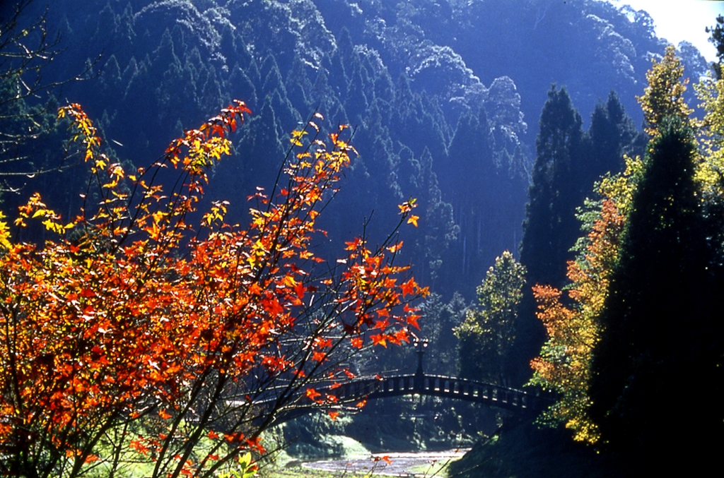 杉林溪森林游乐区图示