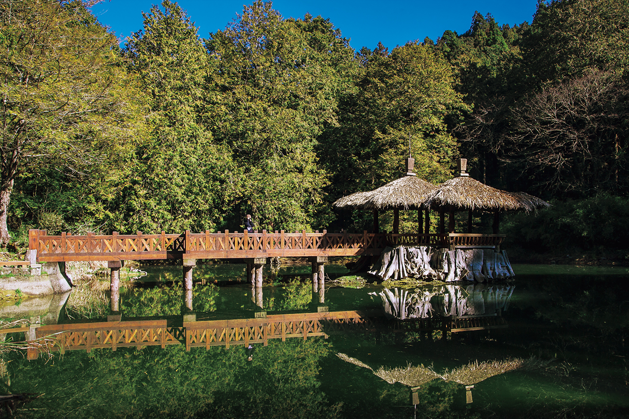 阿里山森林游乐区图示