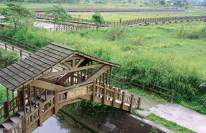 马太鞍湿地图示