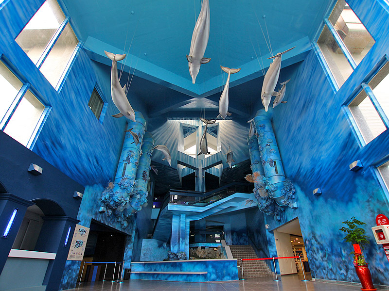 澎湖水族馆 图示