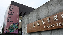 游山茶访
