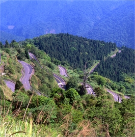 太平山森林游乐区图示