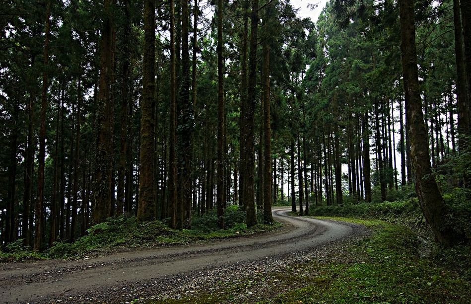 栖兰森林游乐区图示