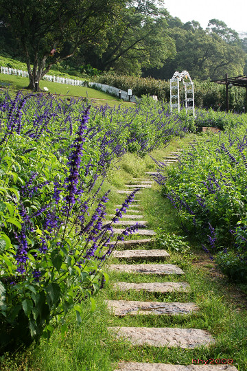 大溪花海农场图示