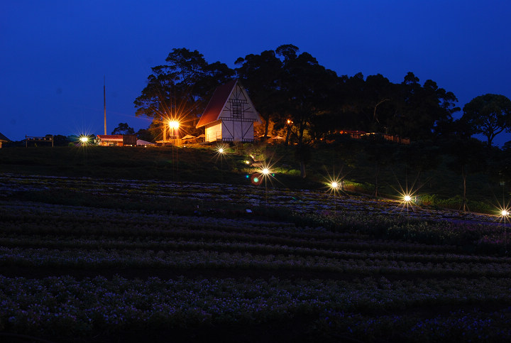 大溪花海农场图示