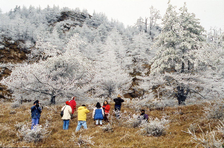 合欢山森林游乐区图示