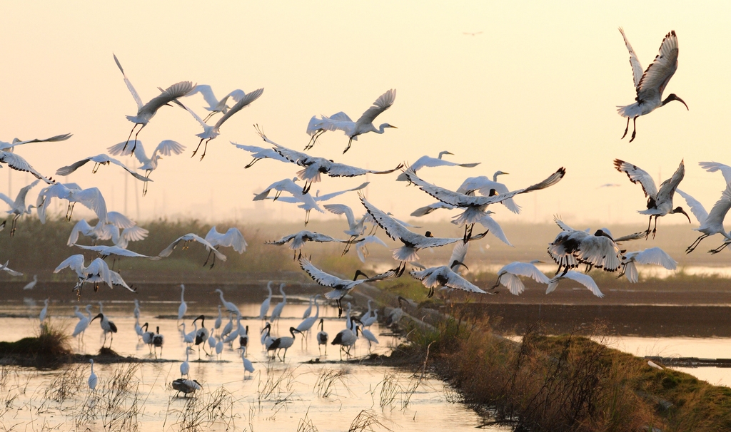 云嘉南滨海风景区图示