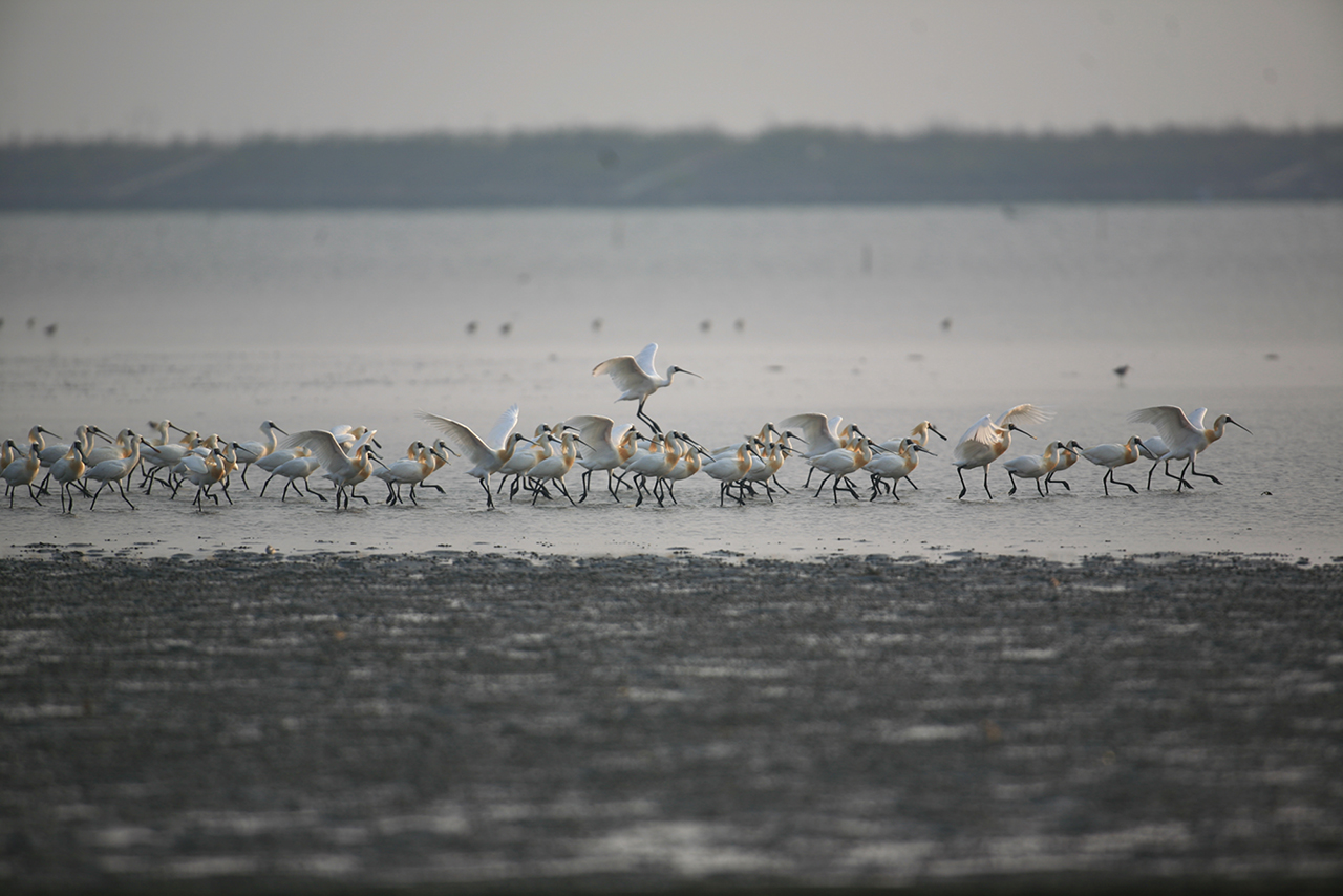 云嘉南滨海风景区图示