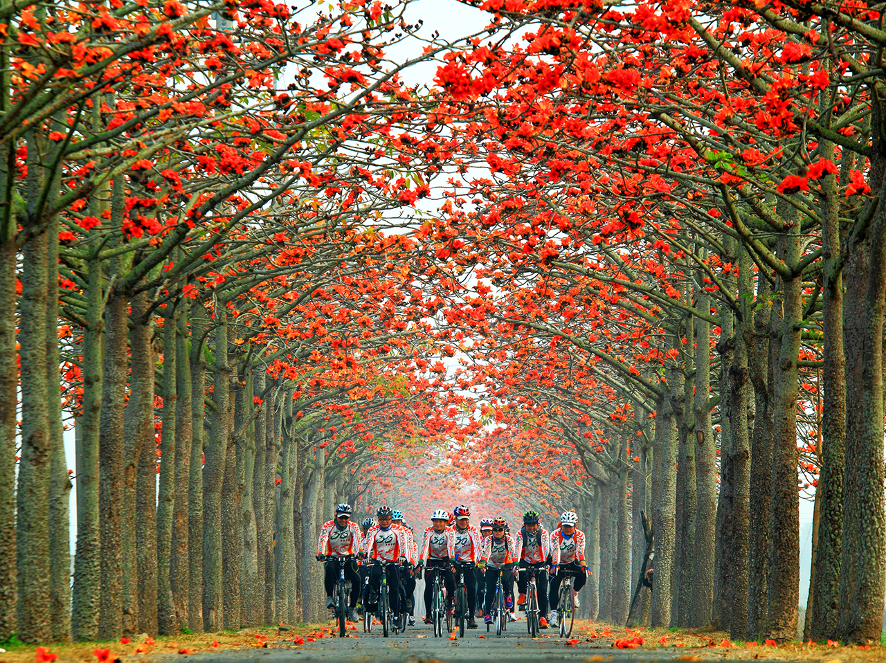 西拉雅风景区图示