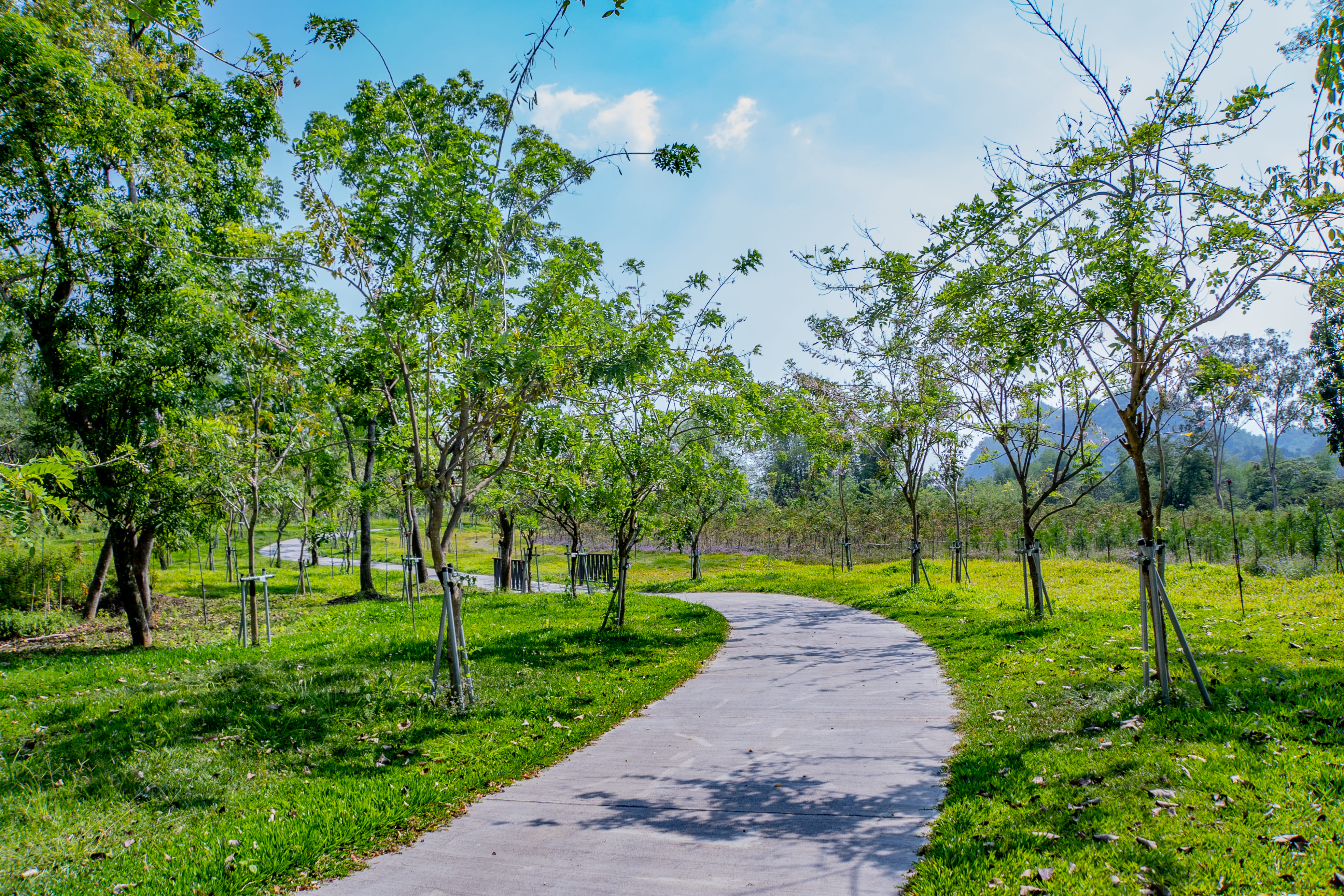 茂林风景区图示