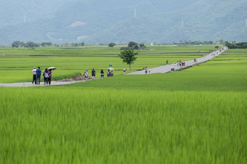 池上伯朗大道&天堂之路图示