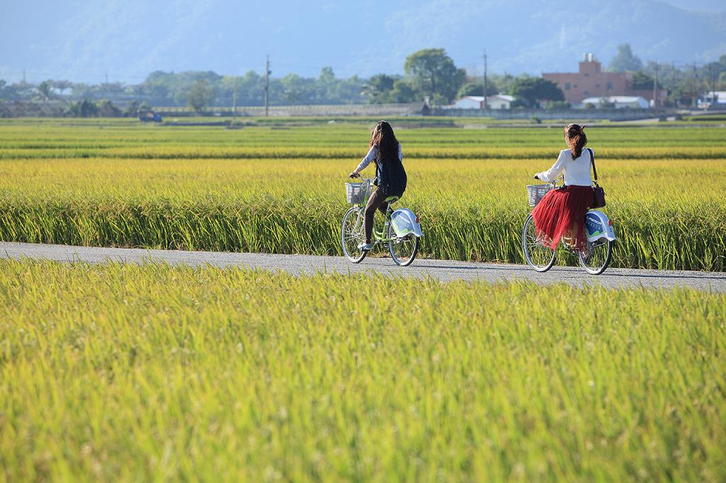 池上伯朗大道&天堂之路图示