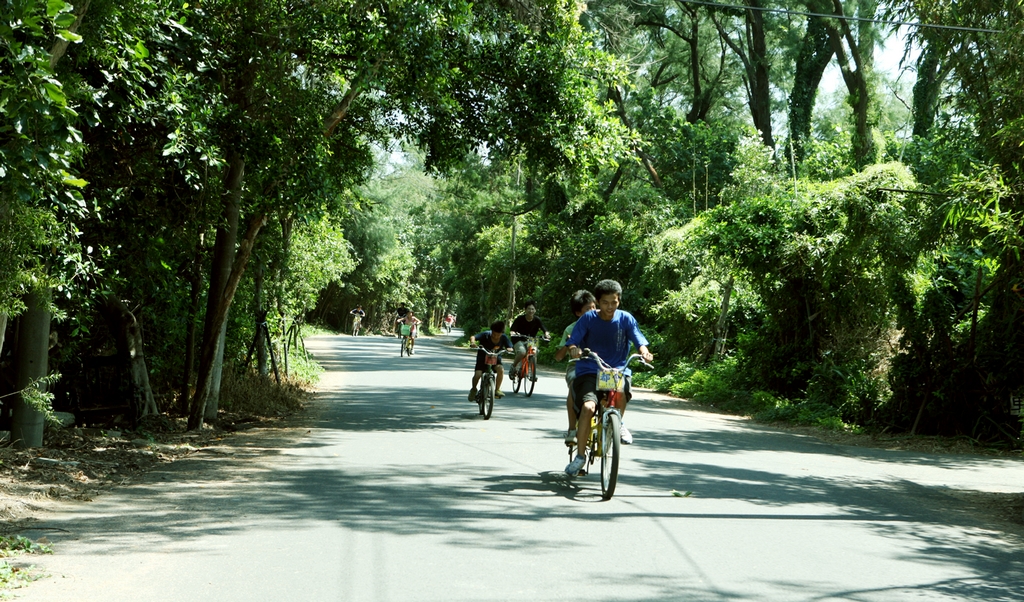 新屋绿色走廊图示