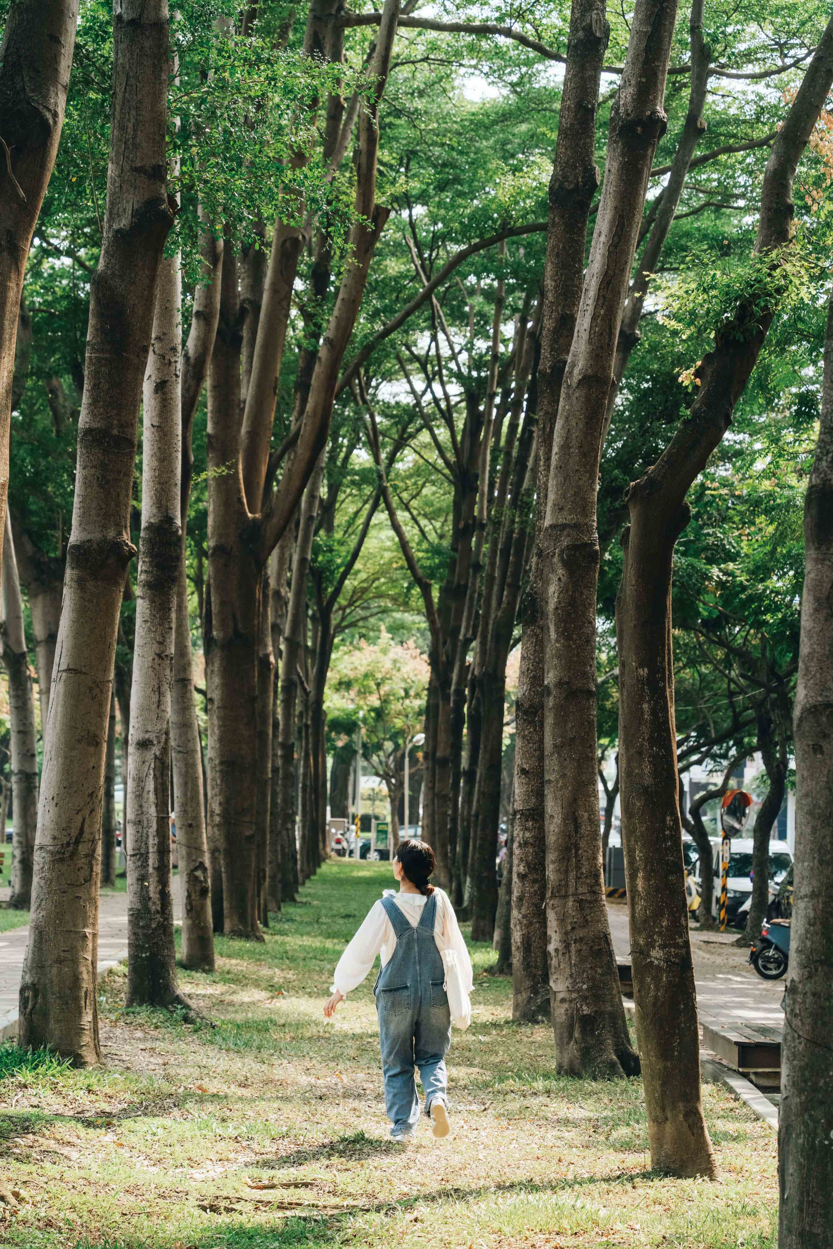 草悟道