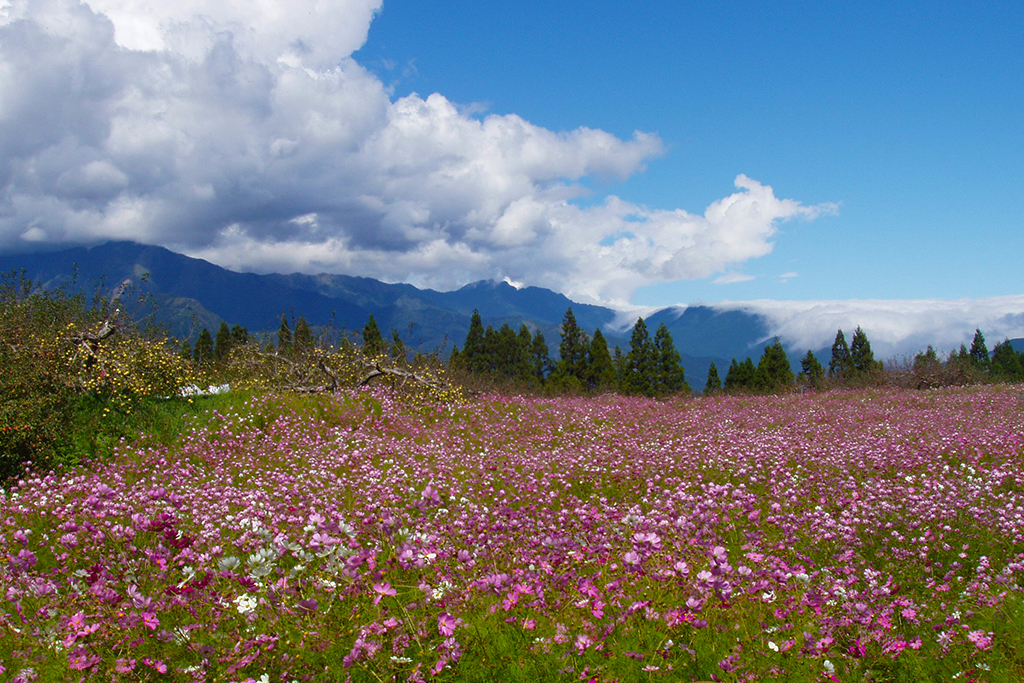 福寿山农场图示