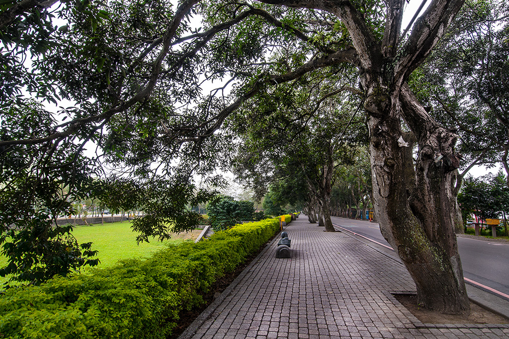 绿色隧道景观公园图示