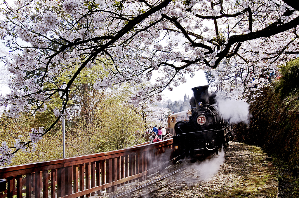 阿里山风景区图示