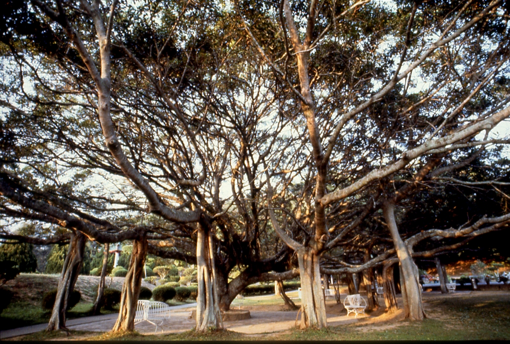 太湖游憩区图示